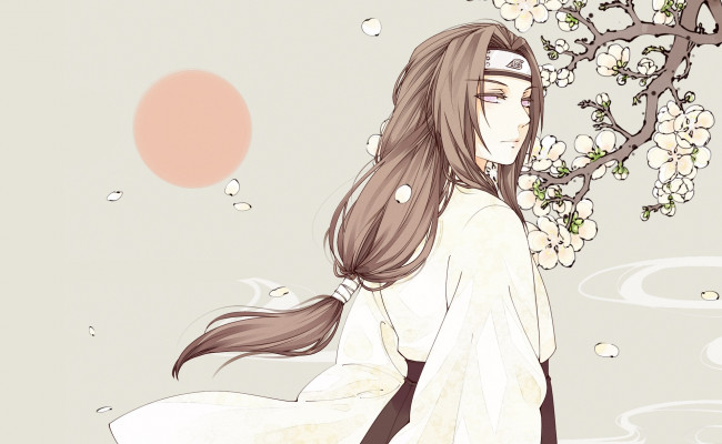 Обои картинки фото аниме, naruto, hyuuga, neji