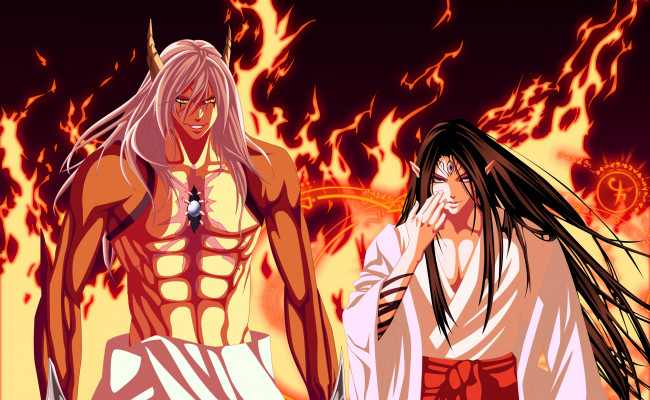 Обои картинки фото аниме, rosario   vampire, rosario, vampire