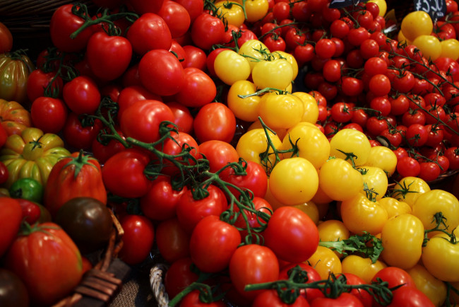 Обои картинки фото еда, помидоры, томаты