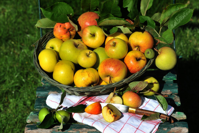 Обои картинки фото еда, Яблоки, плоы