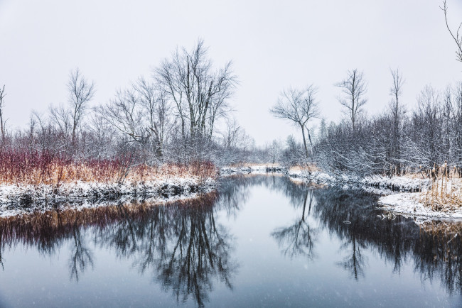 Обои картинки фото природа, реки, озера, река, деревья