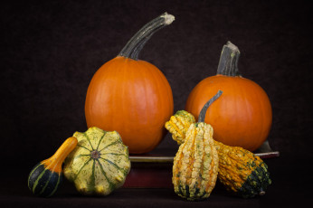 Картинка еда овощи снедь