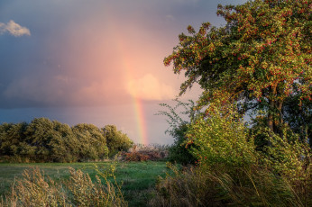 Картинка природа пейзажи простор