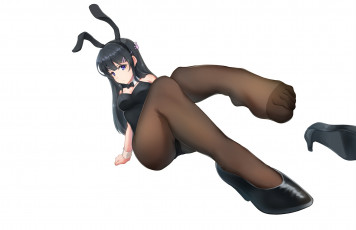 Картинка аниме unknown +другое+ cathamos seishun buta yarou sakurajima mai