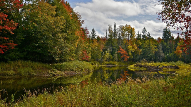 Обои картинки фото природа, реки, озера, осень, река