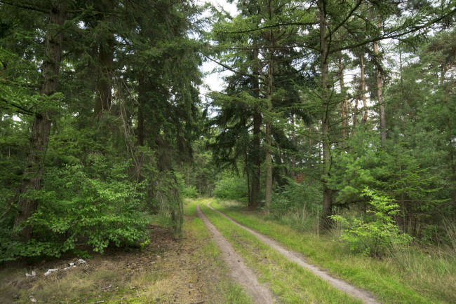 Обои картинки фото природа, дороги, простор