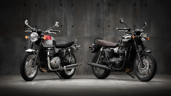 Обои картинки фото мотоциклы, triumph