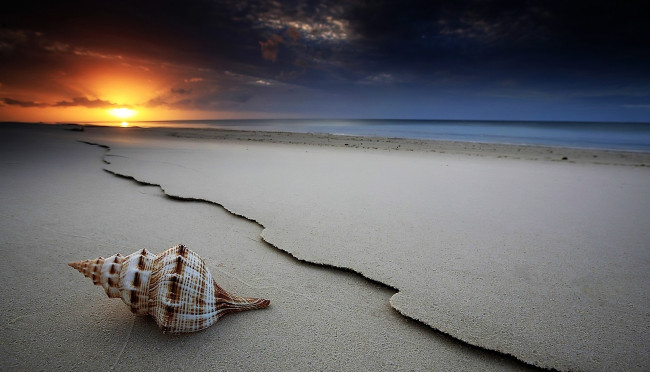 Обои картинки фото разное, ракушки,  кораллы,  декоративные и spa-камни, ракушка, берег, море, закат