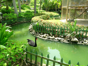 Картинка природа парк