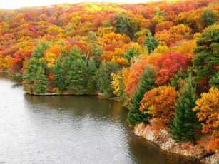 Картинка природа реки озера