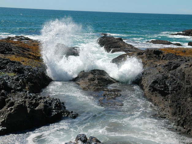 Обои картинки фото 