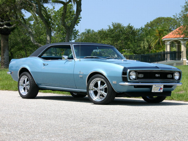 Обои картинки фото автомобили, camaro