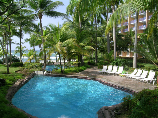 Обои картинки фото природа