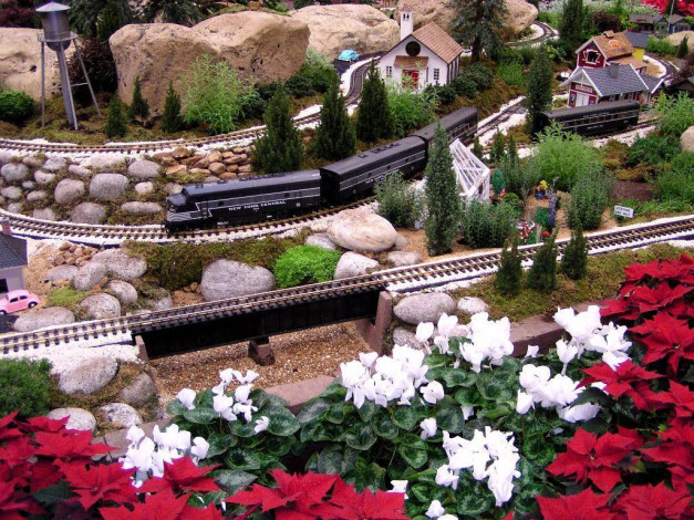 Обои картинки фото разное