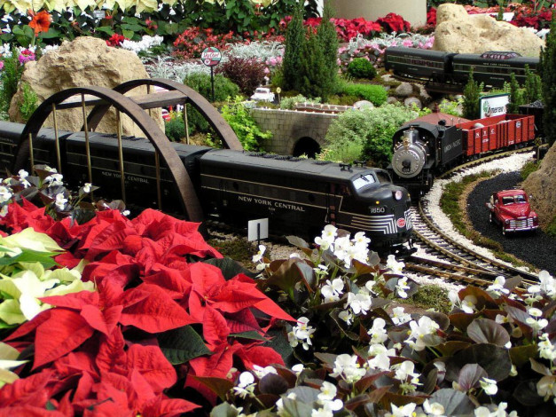 Обои картинки фото разное