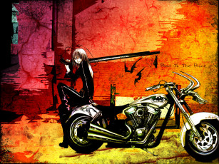 Картинка аниме tenjou tenge