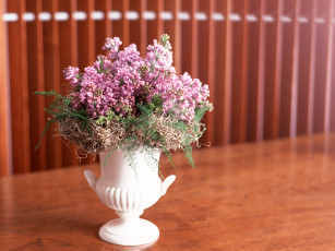 Картинка цветы сирень