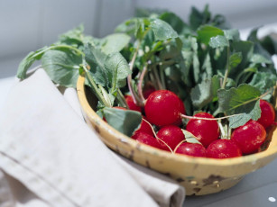 Картинка еда редис репа редька