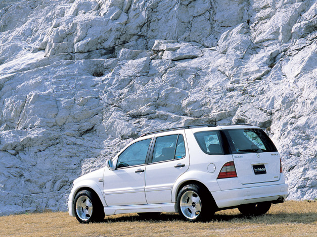 Обои картинки фото автомобили, mercedes, benz