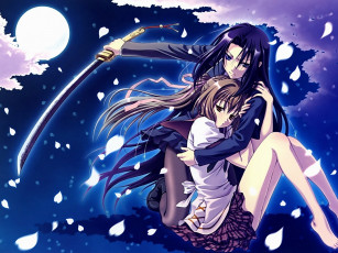 Картинка аниме weapon blood technology