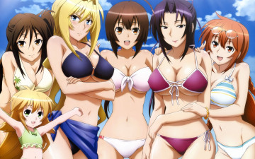 Картинка sekirei pure engagement аниме