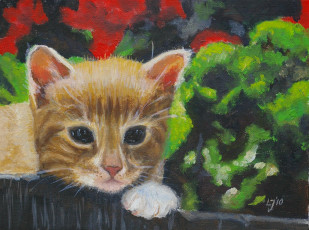 Картинка рисованные животные кот