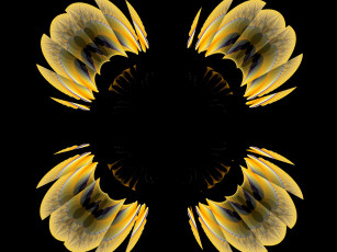 Картинка 3д графика fractal фракталы узор цвета