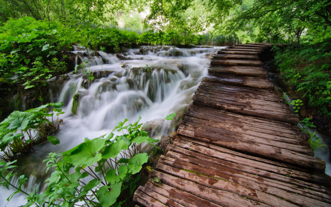 Обои картинки фото природа, реки, озера, каскад, река, лес, мостки