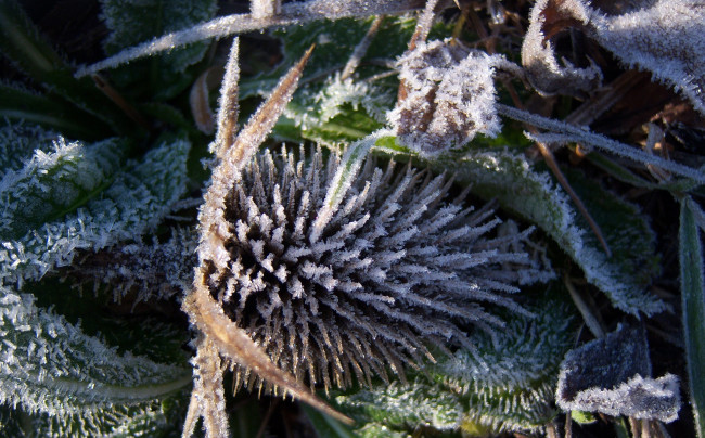 Обои картинки фото природа, другое