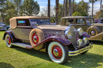 Картинка 1931+packard+840+dietrich+convertible+victoria автомобили выставки+и+уличные+фото автошоу выставка