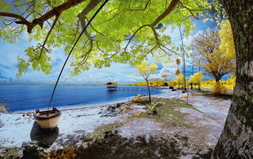 Картинка корабли лодки +шлюпки осень берег листья дерево небо лодка озеро облака