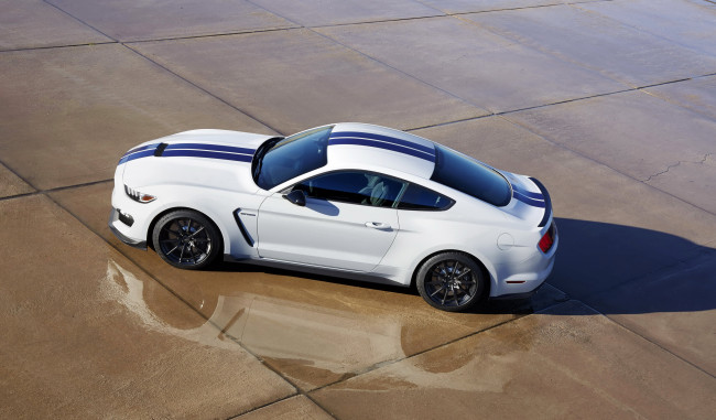Обои картинки фото 2015 ford mustang shelby gt350, автомобили, mustang, ford, тюнинг, белый, shelby