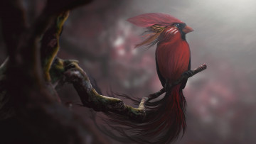 Картинка рисованное животные +птицы +попугаи птица