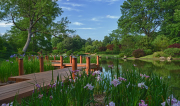 Картинка природа парк пруд мостки