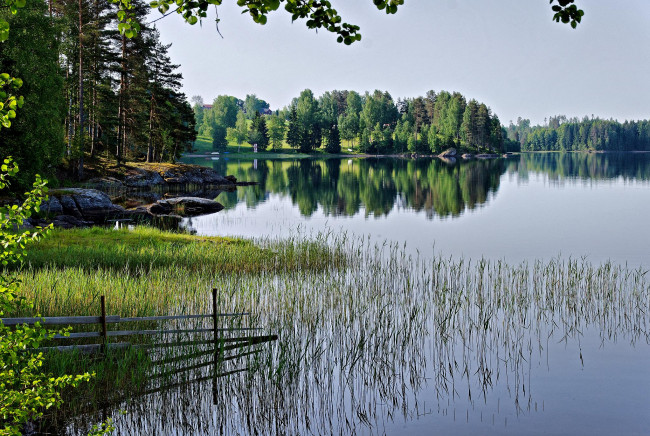 Обои картинки фото природа, реки, озера, лес, река