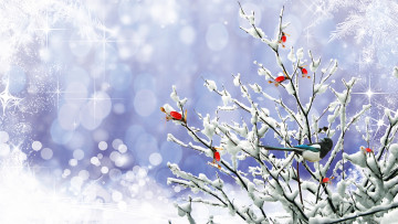 Картинка разное компьютерный+дизайн ветки снег сорока