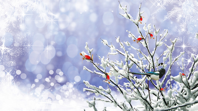 Обои картинки фото разное, компьютерный дизайн, ветки, снег, сорока
