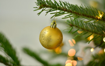 Картинка праздничные шары ёлка ветка шарик