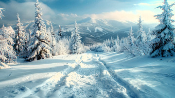 Картинка 3д+графика природа+ nature зима снег следы деревья горы лес