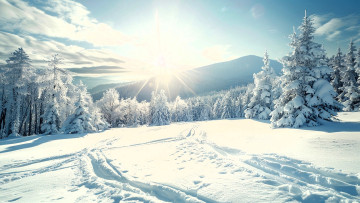 Картинка 3д+графика природа+ nature зима снег следы горы деревья лес