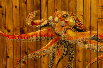 обоя разное, граффити, осьминог