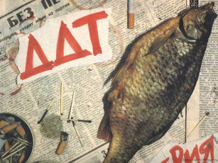 Картинка ддт музыка