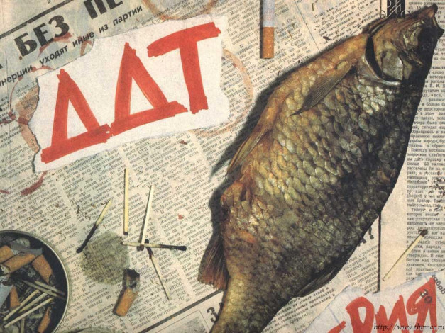 Обои картинки фото ддт, музыка