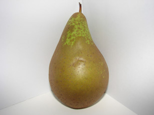 Картинка еда груши
