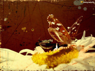 Картинка разное