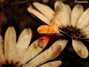 Картинка разное