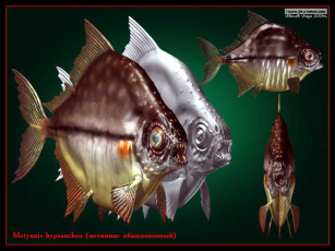 Картинка разное