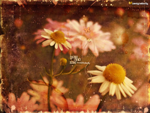 Картинка разное