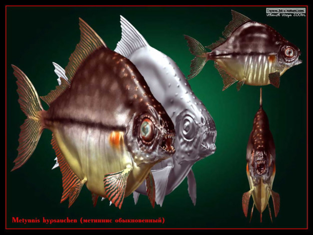 Обои картинки фото разное