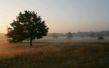 Картинка природа